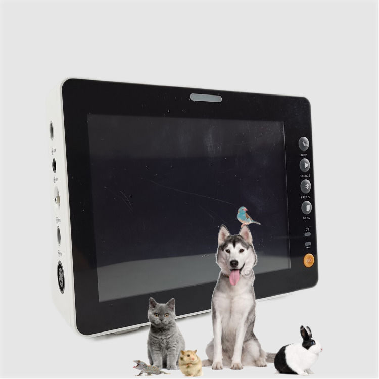 Durable 8 Inch Vital Signs Monitor Dog Cat Sheep Excellent Quality Vital Signs Monitor