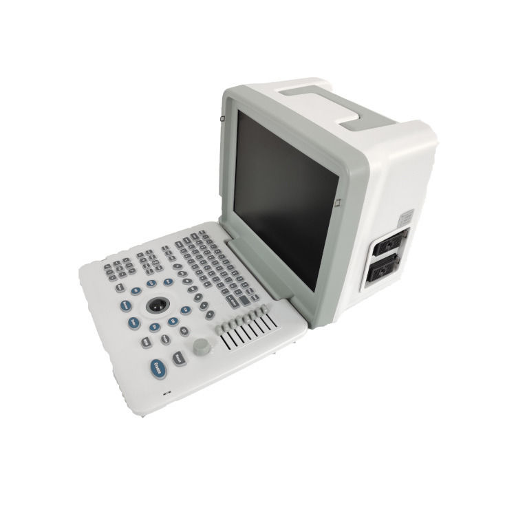 Metal See Laptop B W Portable Pregnancy Doppler Probe Scanner Radio Fetal Ultrasound Machine For Baby