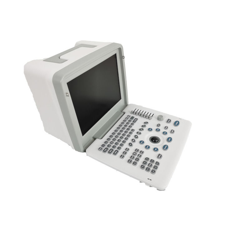 Metal See Laptop B W Portable Pregnancy Doppler Probe Scanner Radio Fetal Ultrasound Machine For Baby
