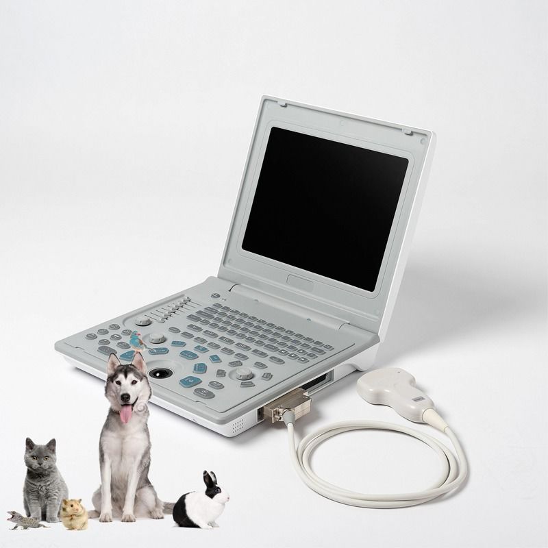 Hospital Outside Diagnostic Linear Ultrasound Machine Dog Ultrasound Machine Laptop Cow Pregnancy Sheep Scanner