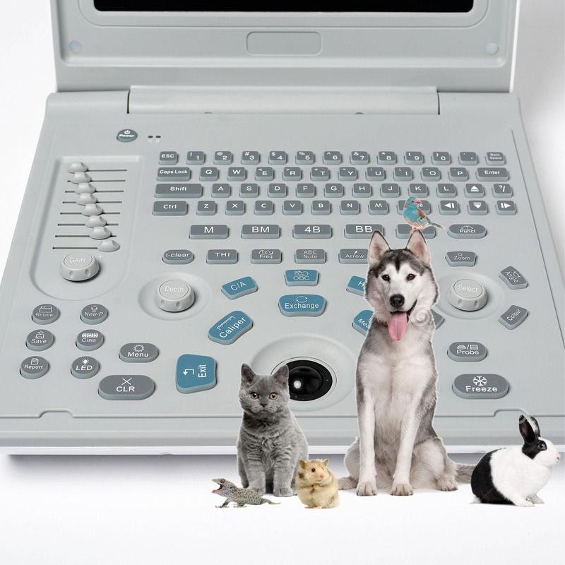 Hospital Outside Diagnostic Linear Ultrasound Machine Dog Ultrasound Machine Laptop Cow Pregnancy Sheep Scanner