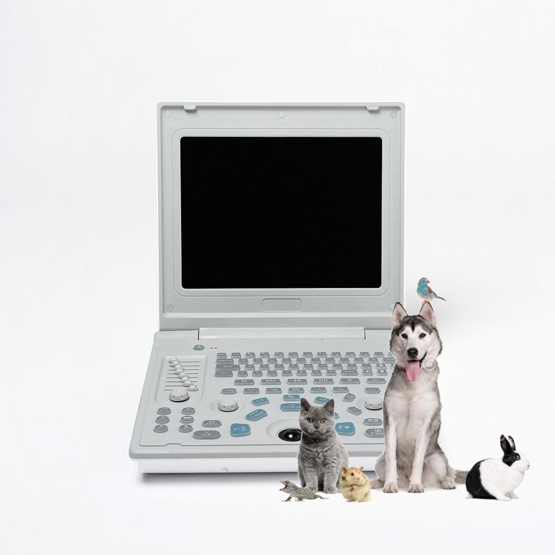 Hospital Outside Diagnostic Linear Ultrasound Machine Dog Ultrasound Machine Laptop Cow Pregnancy Sheep Scanner