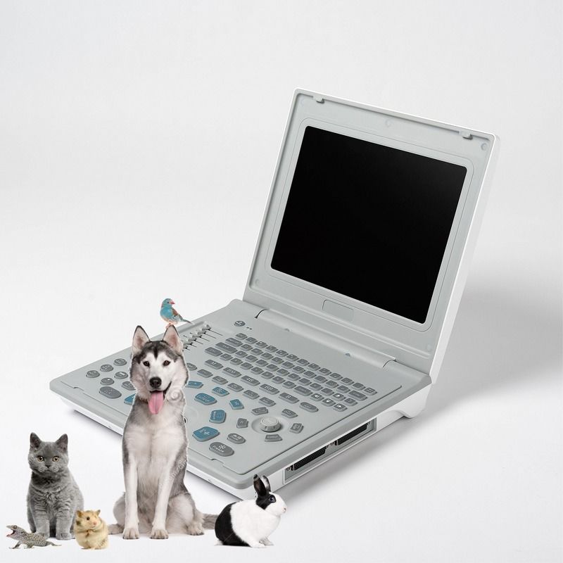Hospital Outside Diagnostic Linear Ultrasound Machine Dog Ultrasound Machine Laptop Cow Pregnancy Sheep Scanner