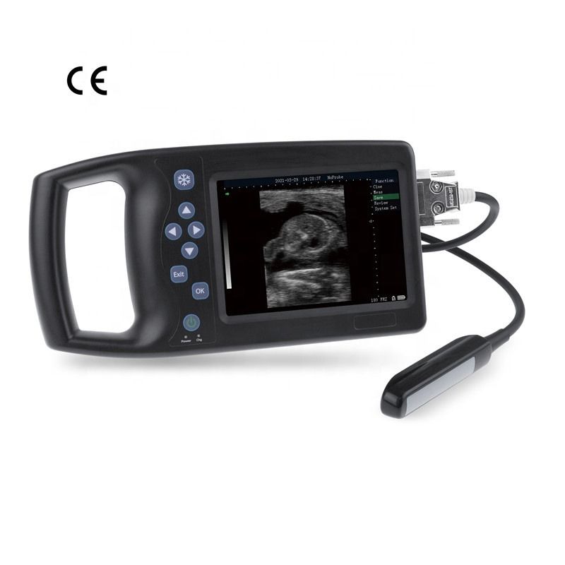 Portable Veterinary Cat Ultrasound Device Row Pregnancy Veterinary Tester B Pig Sheep Dog Horse Veterinary Ultrasound Scanner