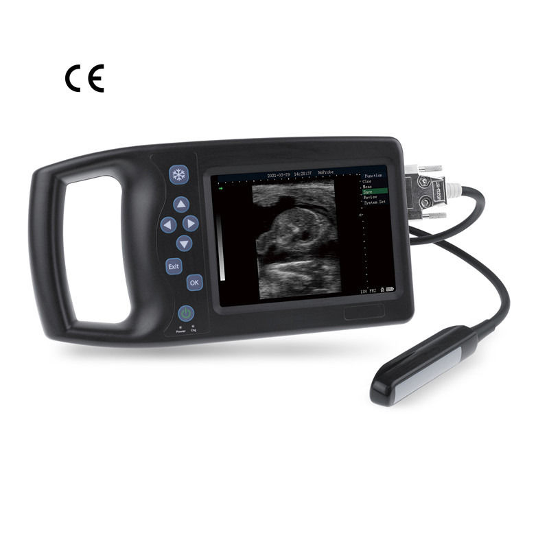 B Veterinayy Ultrasound Sheep Dog Horse Handheld Pigs Scare Pregnancy Animals Mobile Device Veterinary Ultrasound Machine Scanner