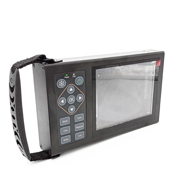 B Veterinary Ultrasound Canine Horse Pigs Scare Pregnancy Animals Mobile Device Vet Digital Handheld Veterinary Ultrasound
