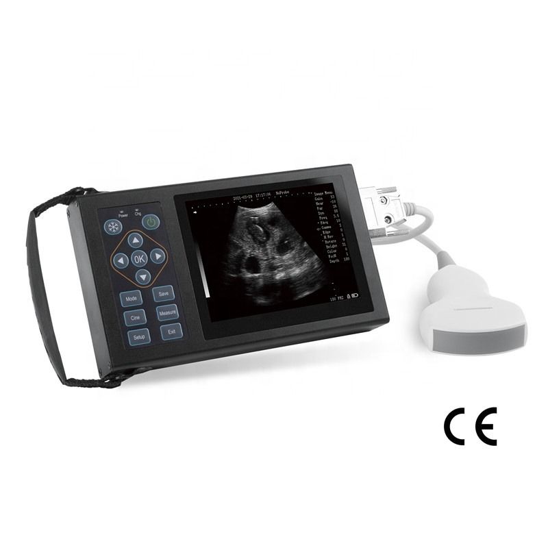 B Veterinary Ultrasound Canine Horse Pigs Scare Pregnancy Animals Mobile Device Vet Digital Handheld Veterinary Ultrasound