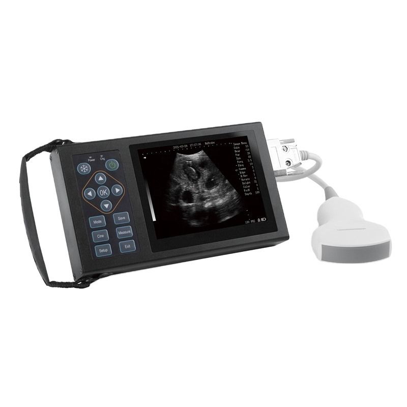 Portable Handheld Cow/Horse/Animal Ultrasound E20 B Ultrasound Veterinary Veterinary Ultrasound For Veterinarian