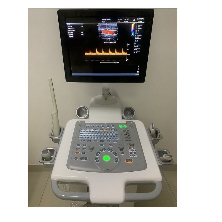 China Cart Digital Color Doppler Ultrasound Medical Ultrasound Machine Ultrasound Hospital Outside