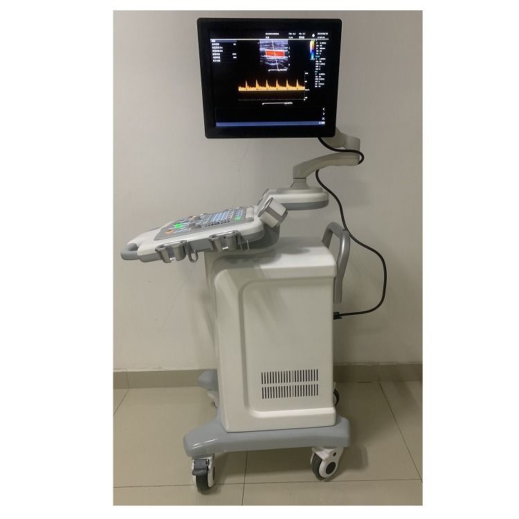 China Cart Digital Color Doppler Ultrasound Medical Ultrasound Machine Ultrasound Hospital Outside