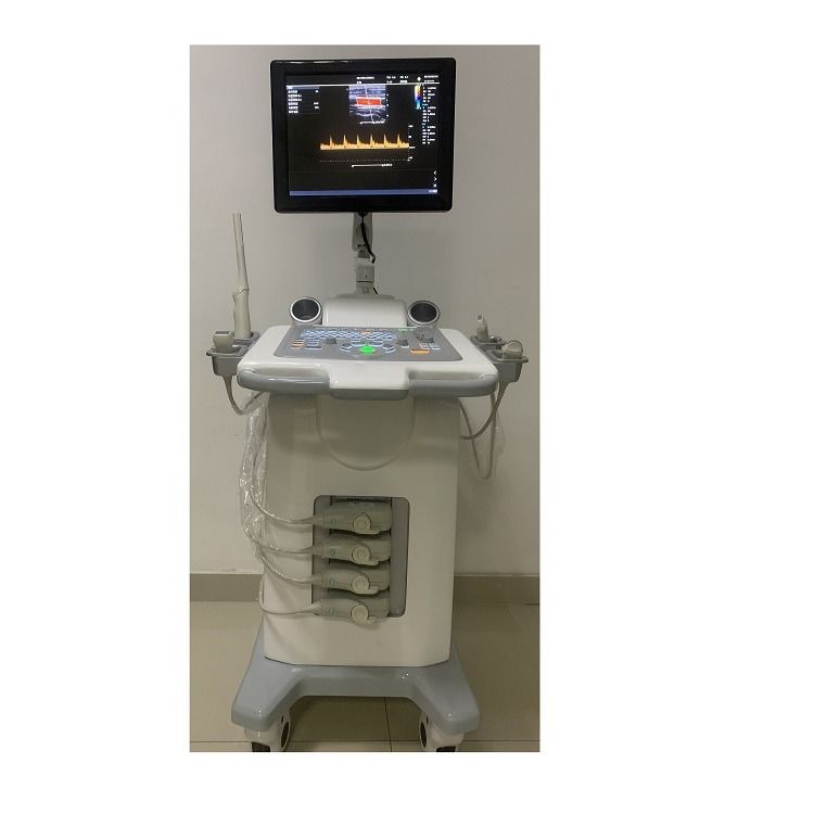 China Cart Digital Color Doppler Ultrasound Medical Ultrasound Machine Ultrasound Hospital Outside