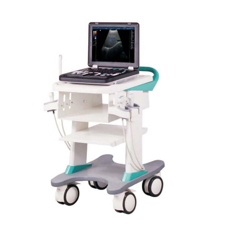 100% Guaranteed Portable Color Doppler Ultrasound Echocardiography Echo Ultrasound Machine